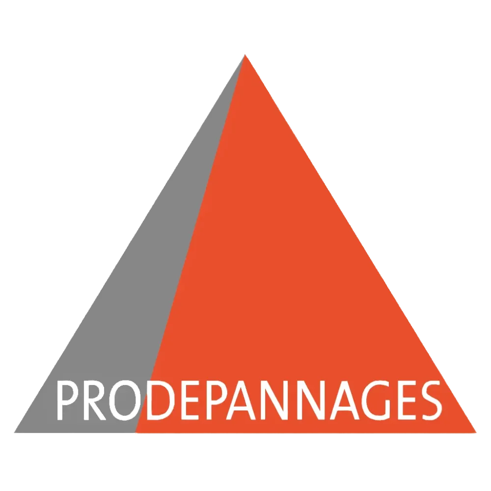 SARL Prodepannages (2)